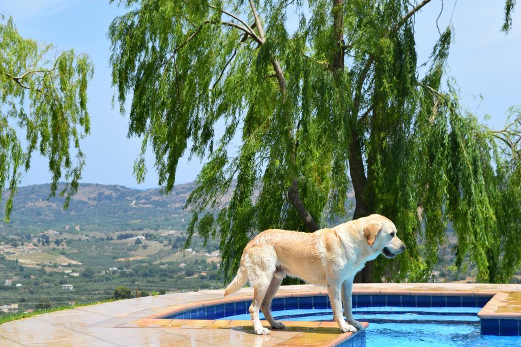 Aspalathos Villas Fílippos エクステリア 写真